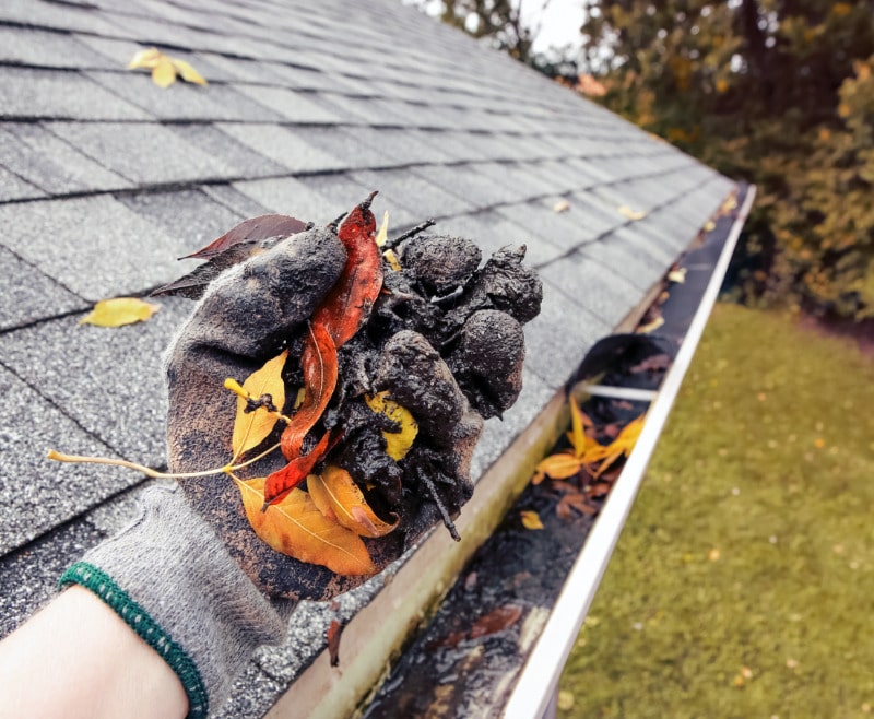 Main gantée retirant des débris et feuilles d'une gouttière